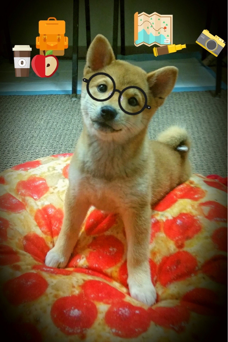 开云体育链接-体育赛事品牌建设创新策略研究与实践，体育赛事营销有哪些创新方式