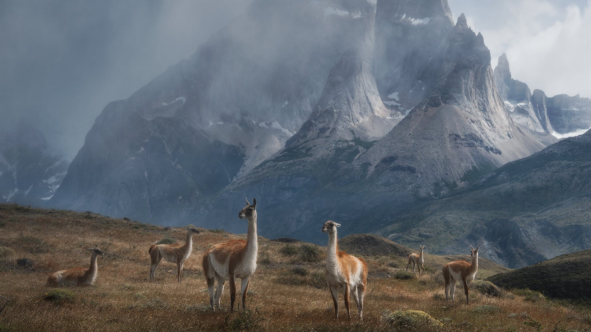 开云体育网址-信息技术融合创新，信息技术融合创新实验校中期验收美篇