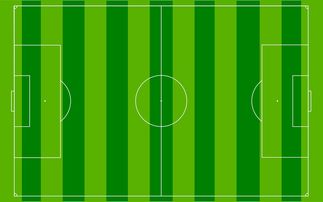 开云体育app在线-国足主场比赛战术布置与得分模型关联，国足阵容战术