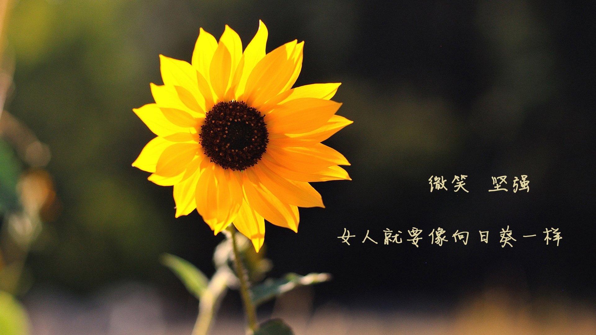 开云体育app在线-西甲球队利用动态热区图优化防守压力分配策略  第2张