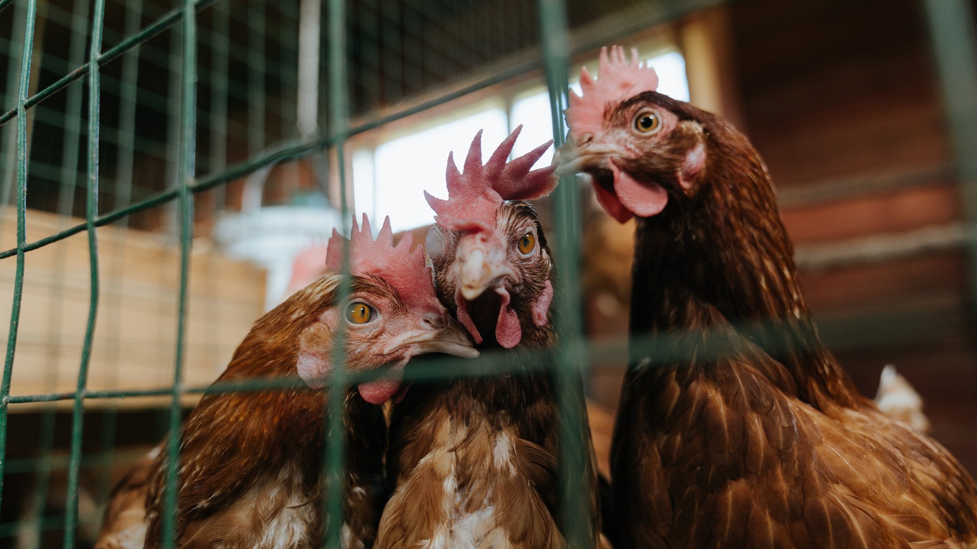 开云体育在线登入-体育新闻中心发布运动康复技术创新报告，运动康复研究热点