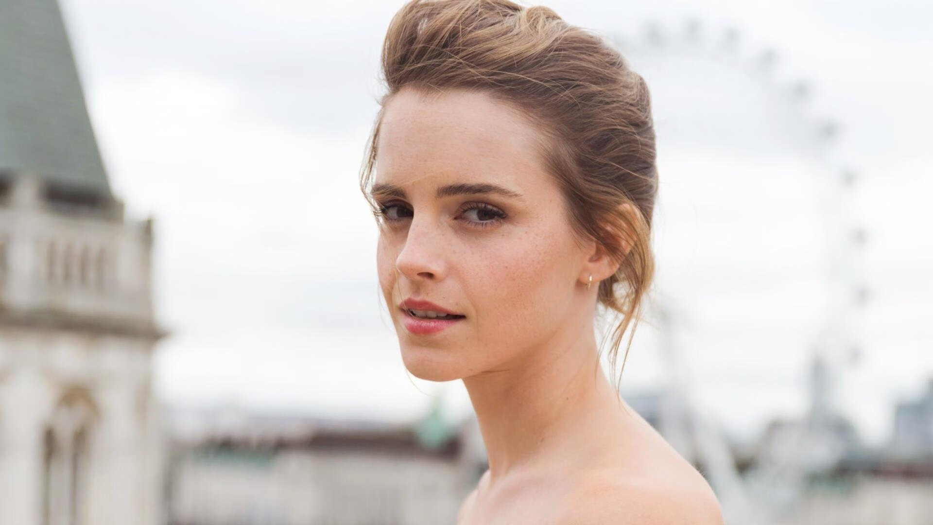 开云体育平台-沃尔夫斯堡反击战术精准打破僵局，沃尔夫斯堡阵型