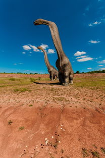 开云官方网-滑雪场寒假开放前安全演练全覆盖，滑雪场安全提示牌  第3张
