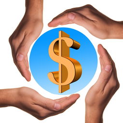 开云体育在线入口-转身效率提升：中国进步显著，转身技术