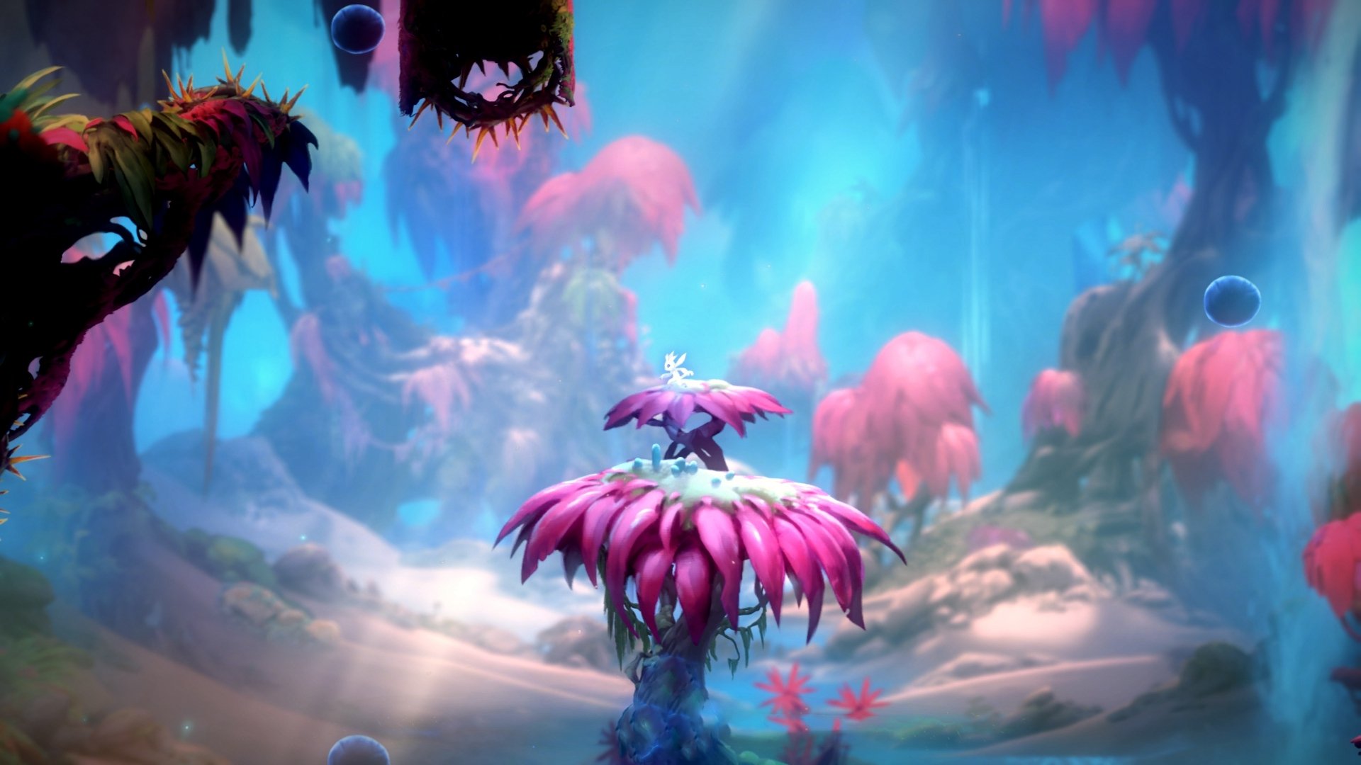 开yun官网-各大洲积极布局女子足球，未来发展潜力巨大，女子足球发展现状