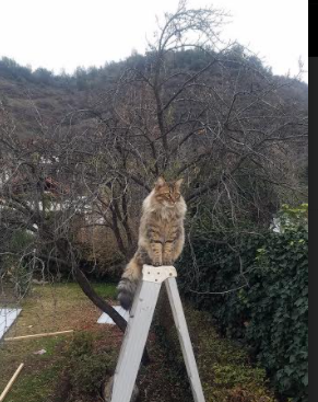 开云体育下载-基层体育发展提速城市间赛事交流日益频繁，基层体育组织