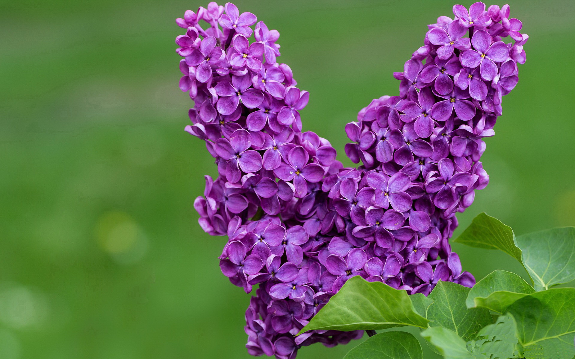 kaiyun开云体育-意甲狂热对决：速度、技术、战术的绝佳演绎，意甲热身赛