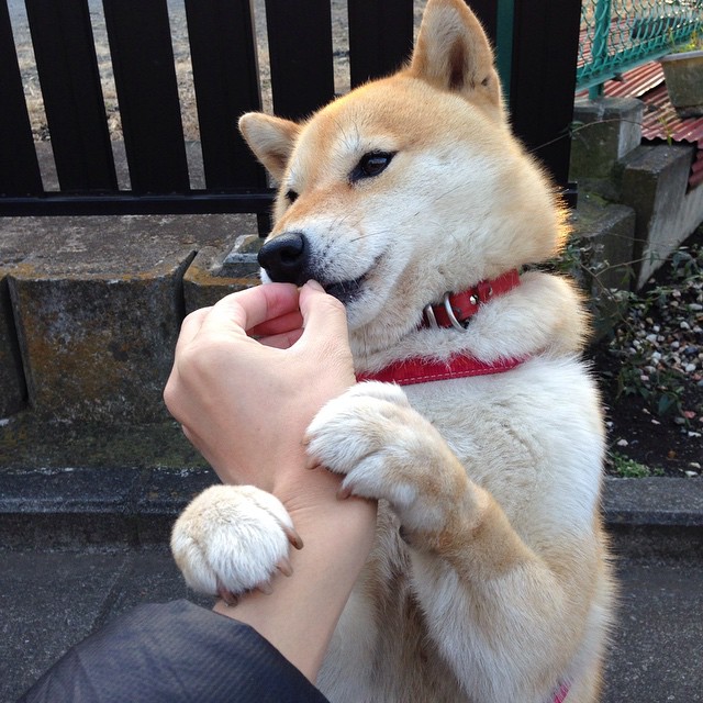 开云官网-欧洲杯变阵疯狂：策略精彩引爆战场！，欧洲杯迎来结局