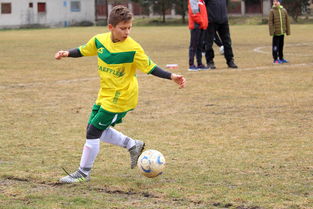 开云在线入口-中国足球联赛中球员体能标准提升策略，中国足球联赛中球员体能标准提升策略包括