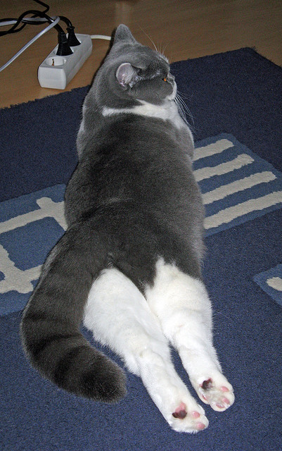 开云体育app入口-中国足球青训体系发展趋势研究，中国足球的青训理念